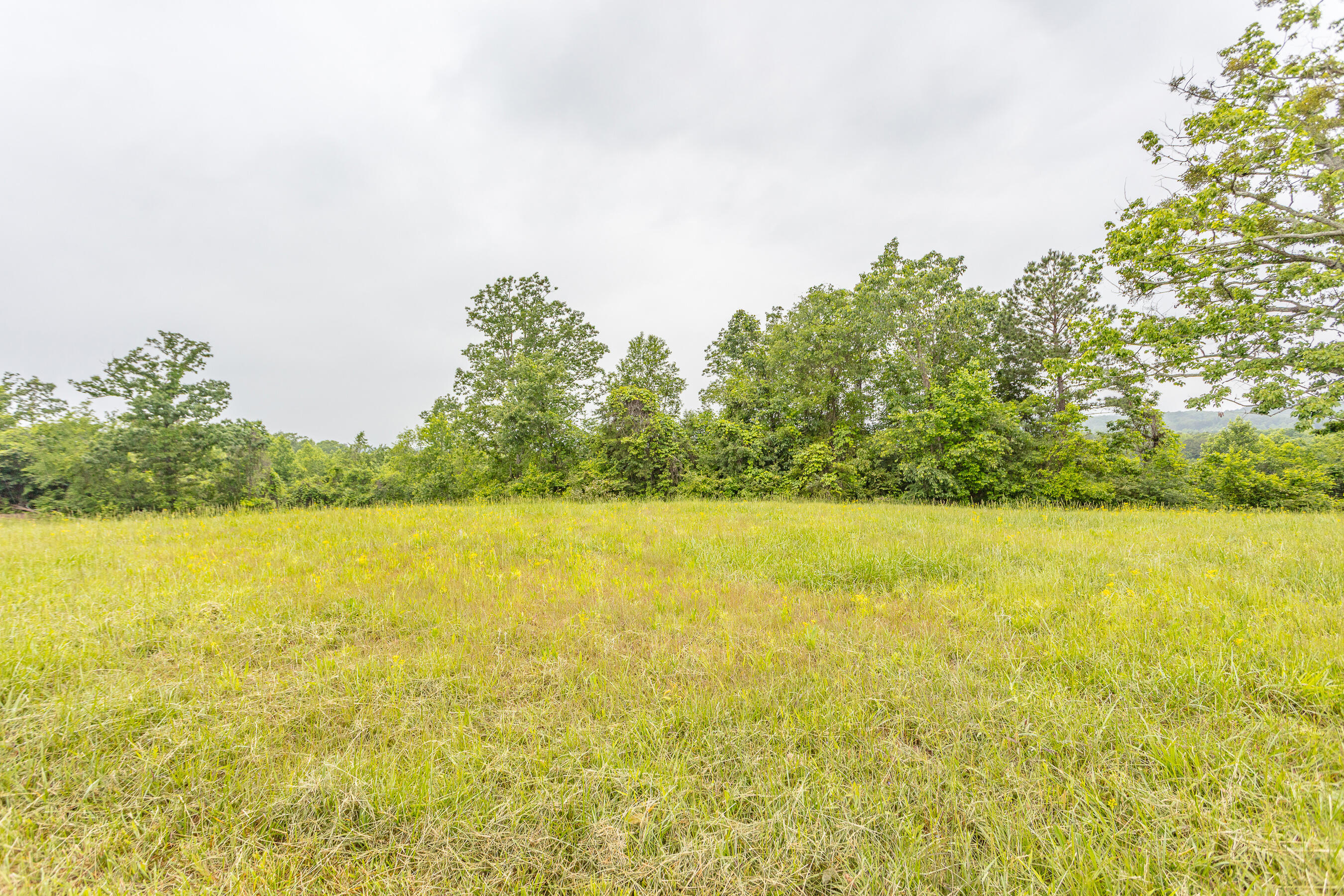 1854 Kensington Road Chickamauga, GA 30707 - Photo 110 of 119 1854 Kensington HD-44