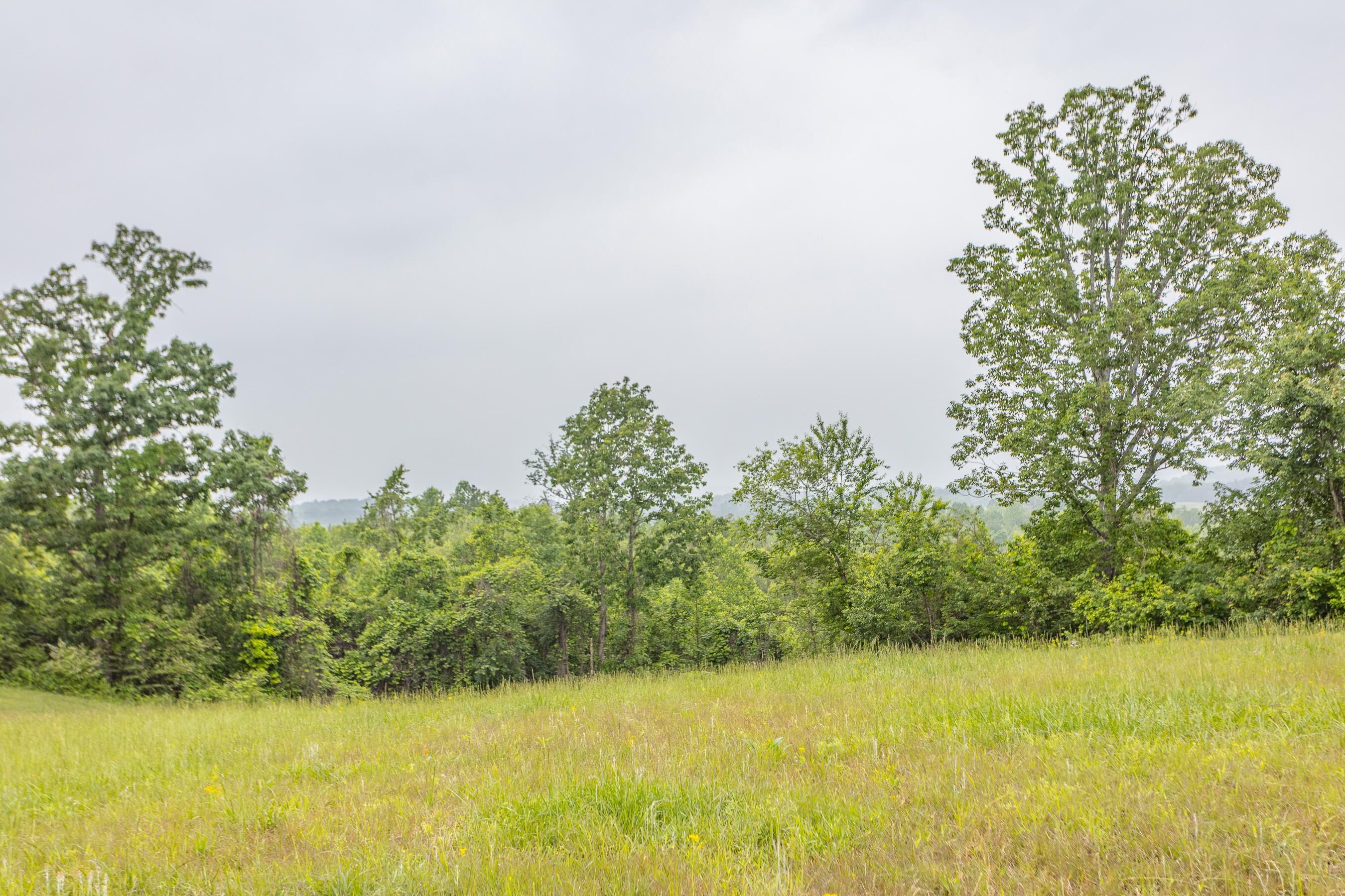 1854 Kensington Road Chickamauga, GA 30707 - Photo 111 of 119 1854 Kensington HD-46