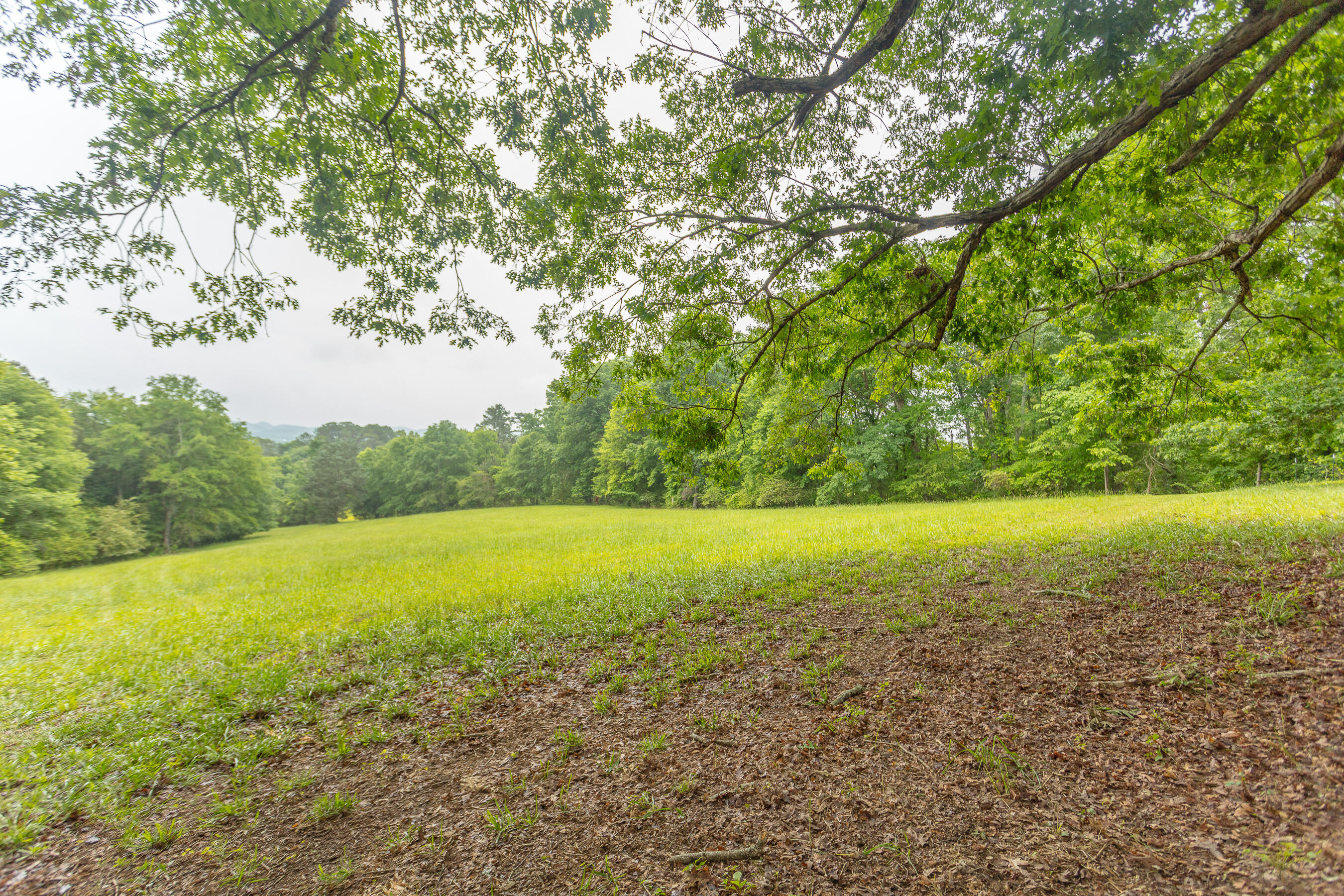 1854 Kensington Road Chickamauga, GA 30707 - Photo 114 of 119 1854 Kensington HD-50