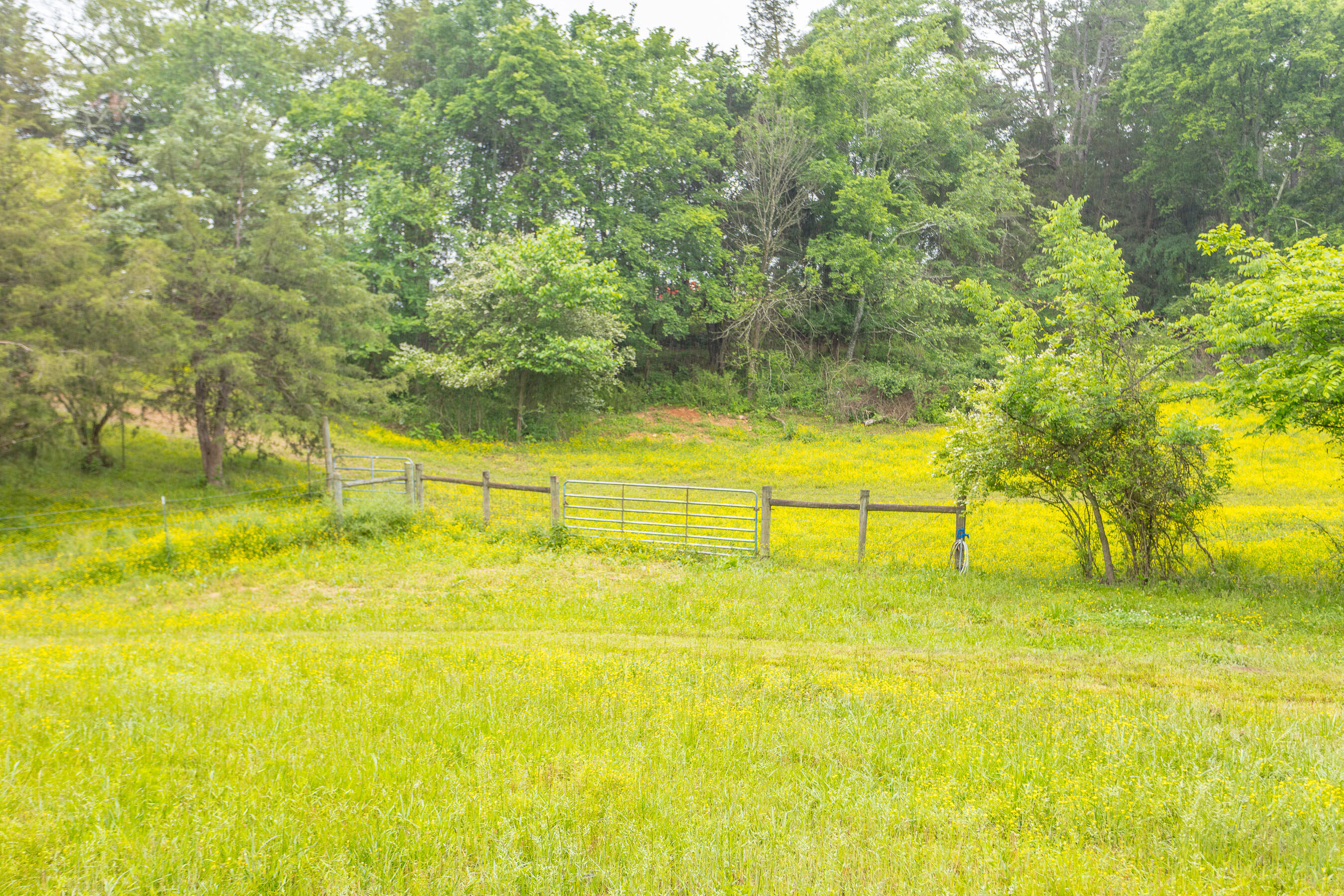 1854 Kensington Road Chickamauga, GA 30707 - Photo 115 of 119 1854 Kensington HD-51