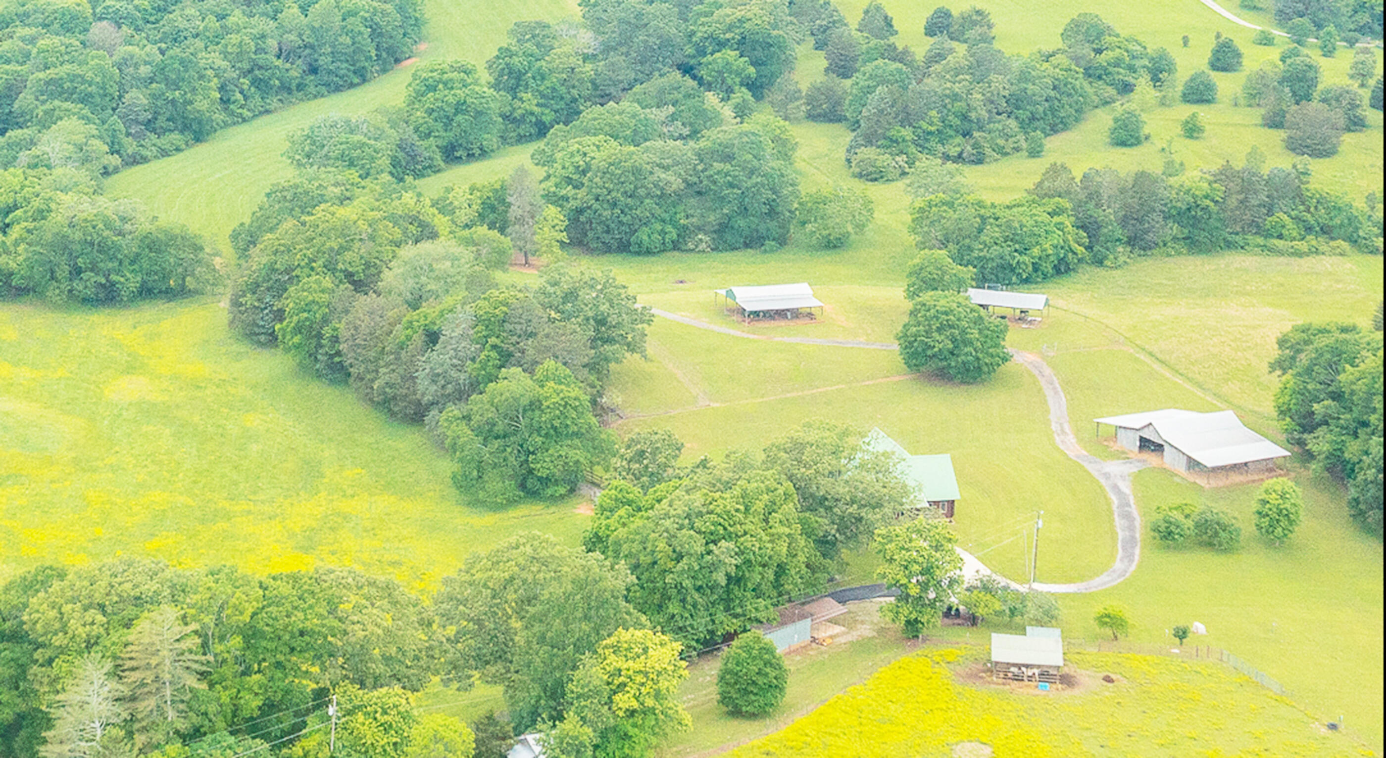 1854 Kensington Road Chickamauga, GA 30707 - Photo 117 of 119 1854 Kensington Aerial HD-9 AMY