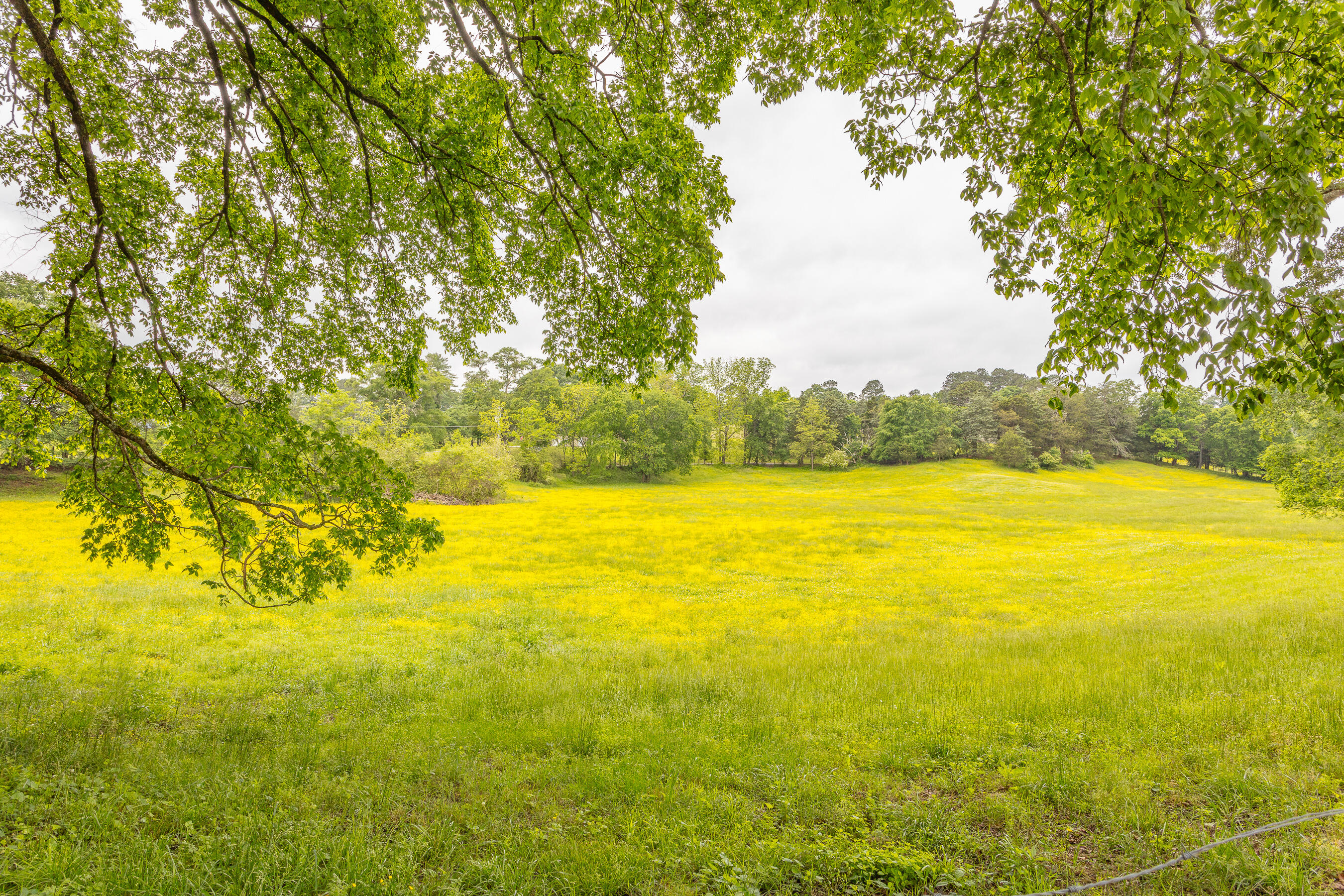 1854 Kensington Road Chickamauga, GA 30707 - Photo 82 of 119 1854 Kensington HD-10