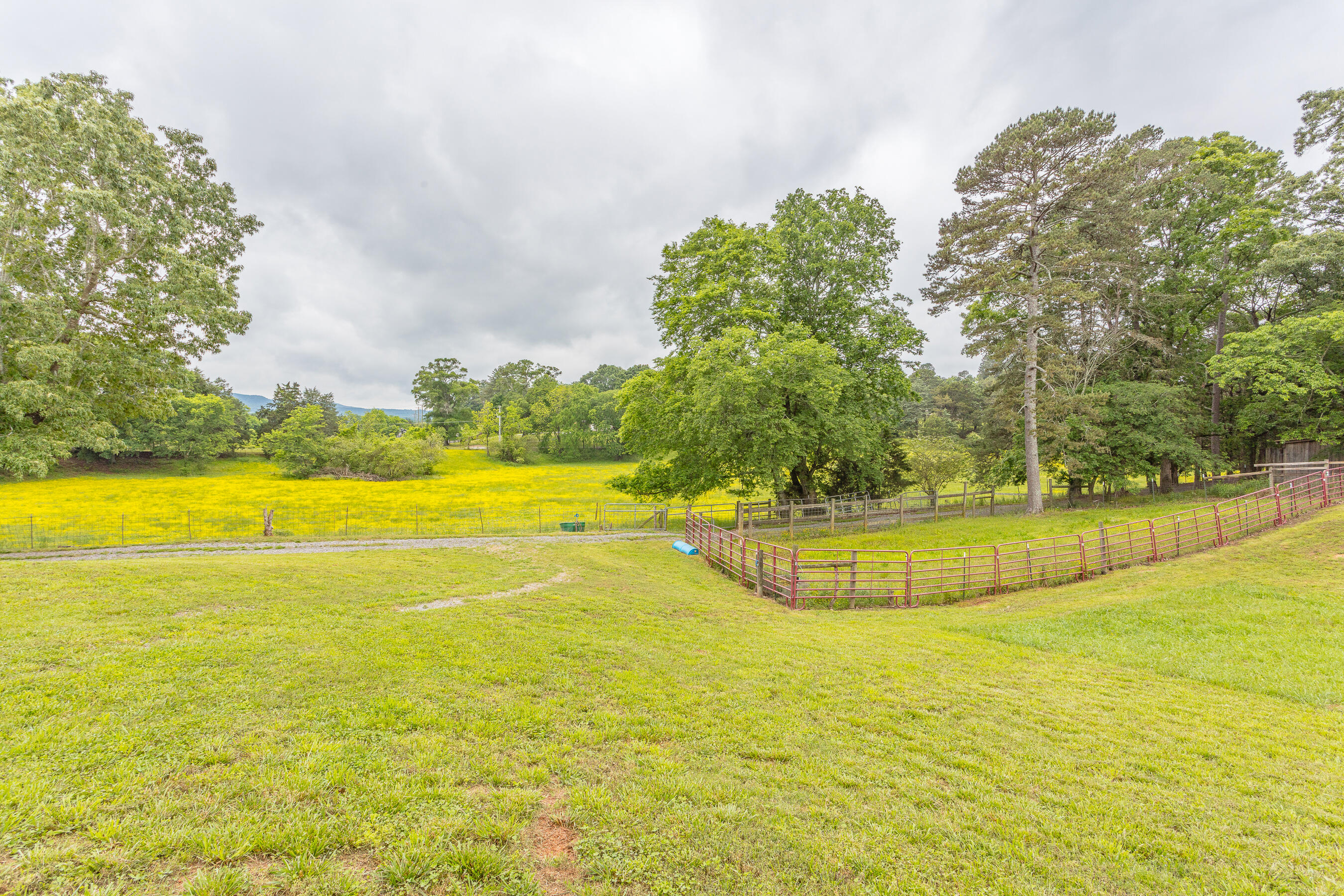 1854 Kensington Road Chickamauga, GA 30707 - Photo 86 of 119 1854 Kensington HD-16