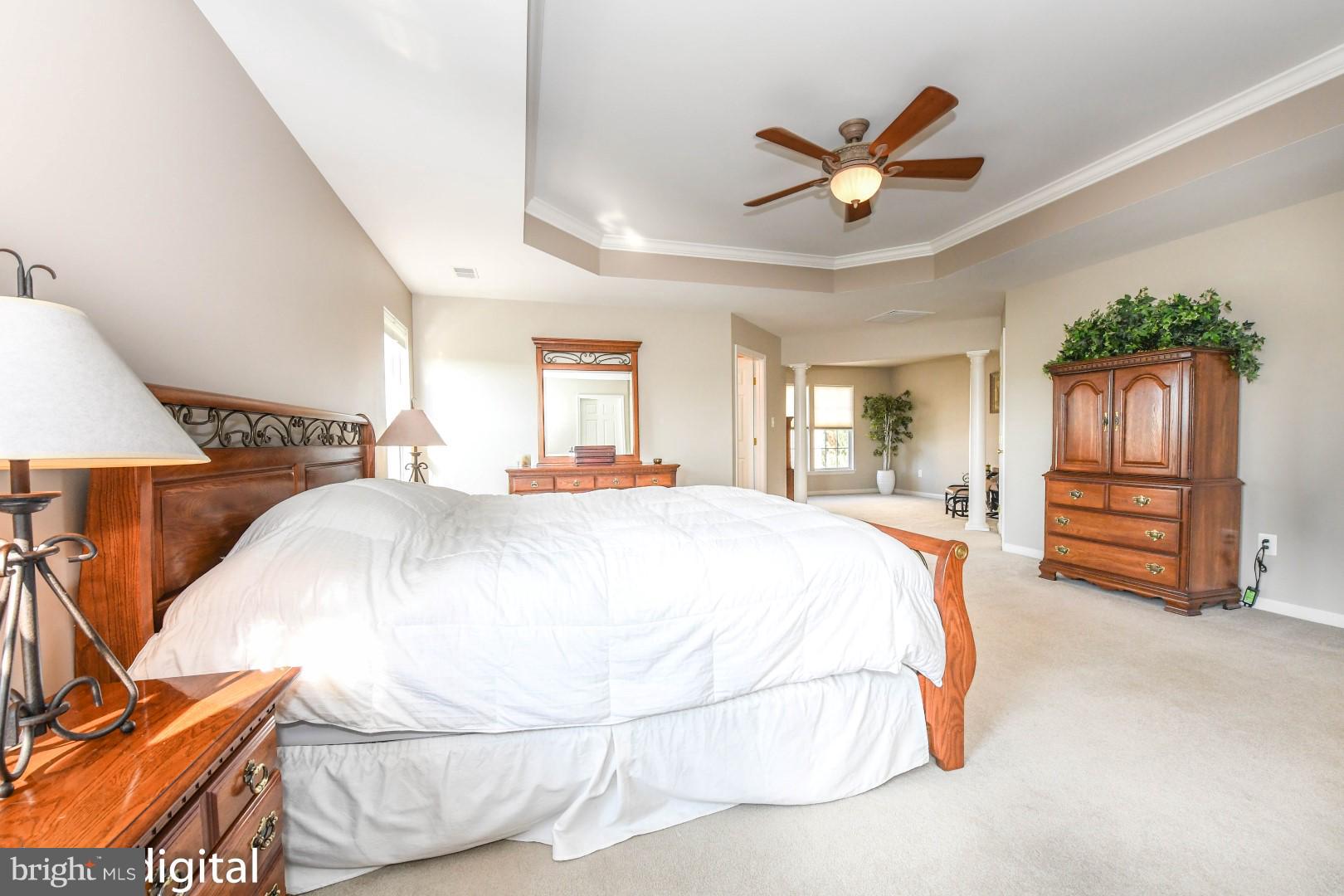 11026 Country Club Road New Market, MD 21774 - Photo 12 of 30 Master w Sitting Rm and Tray ceiling