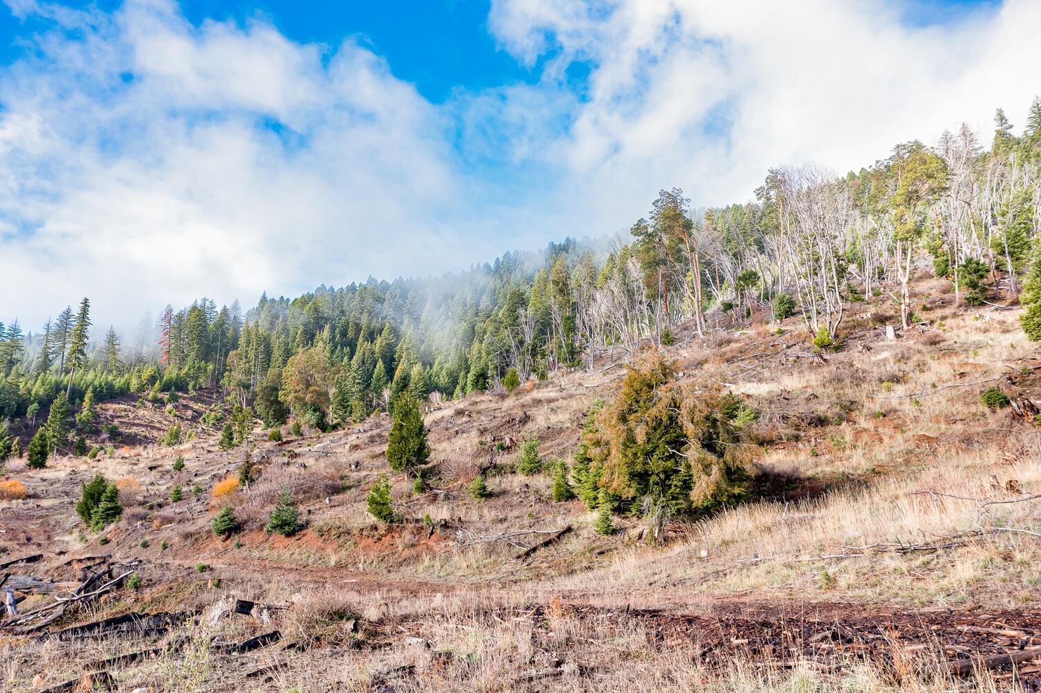 River Road Trail, OR 97541 - Photo 14 of 20 DJI_0963HDR27