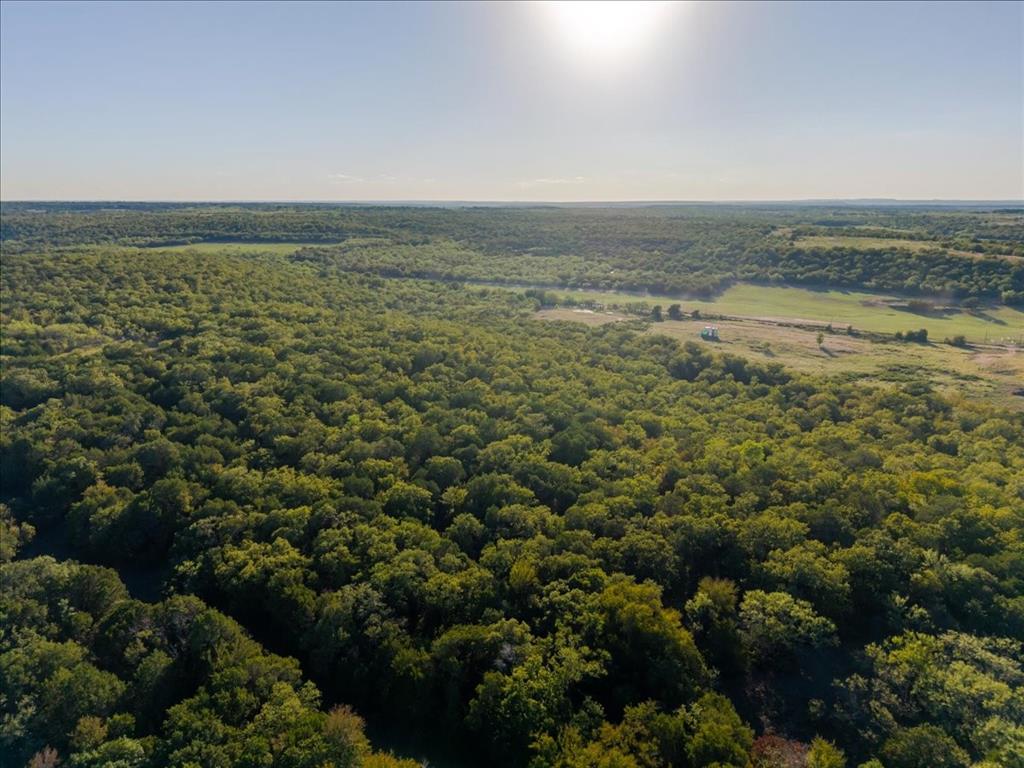 1674 Ming Bend Road Graham, TX 76450 - Photo 28 of 40 Expansive acreage featuring dense tree coverage and open clearings