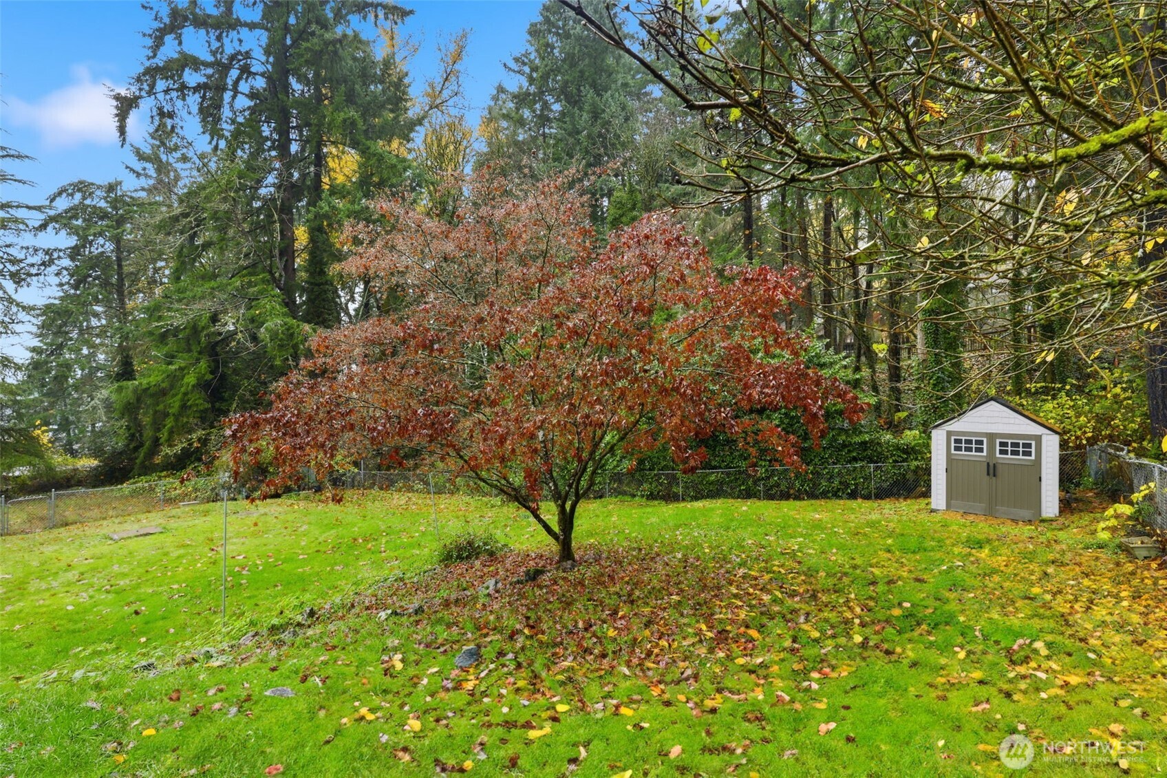 4364 151st Avenue Southeast Bellevue, WA 98006 - Photo 37 of 40