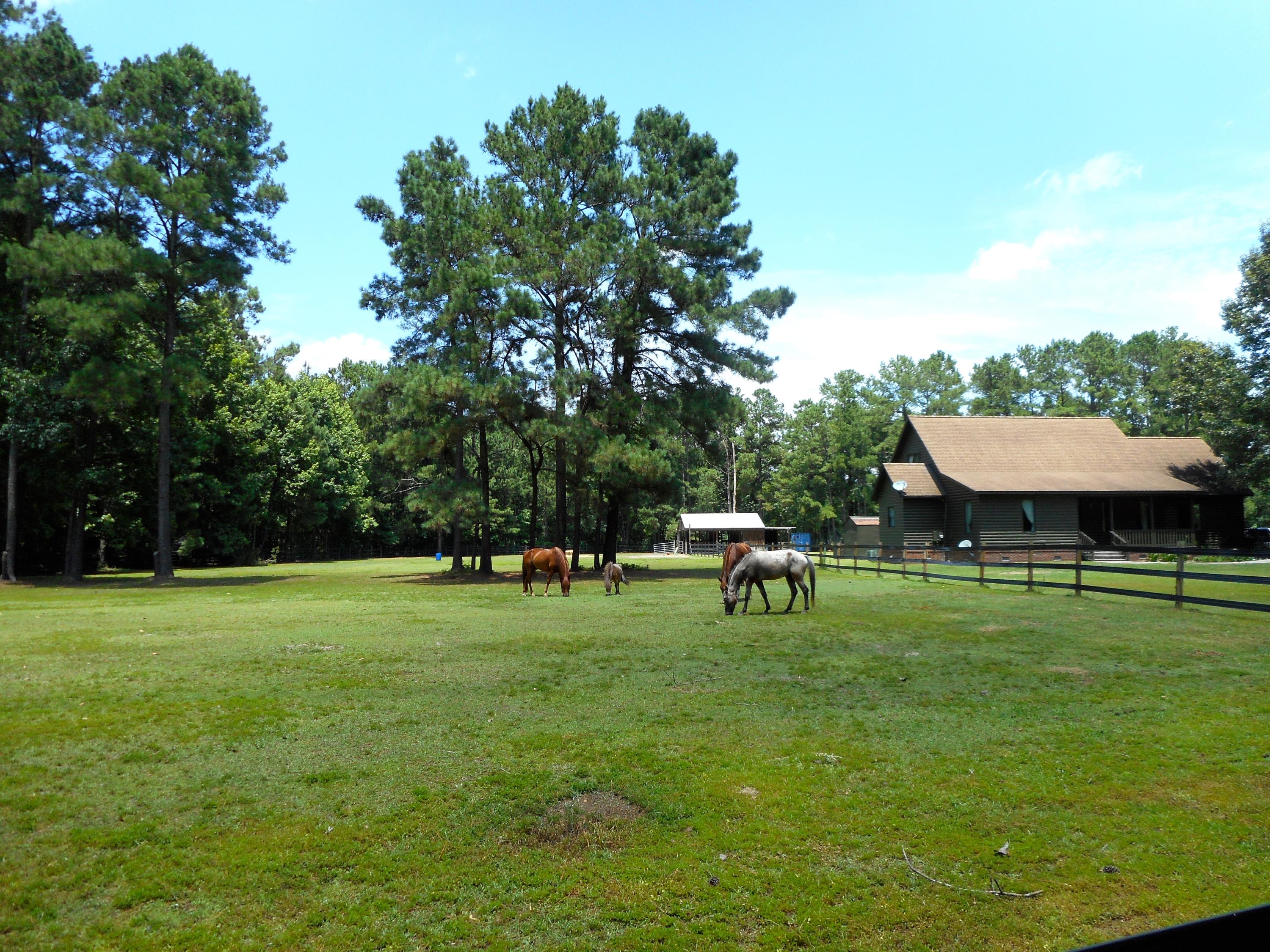6164 County Line Road Ravenel, SC 29470 - Photo 1 of 27 DSCN0098