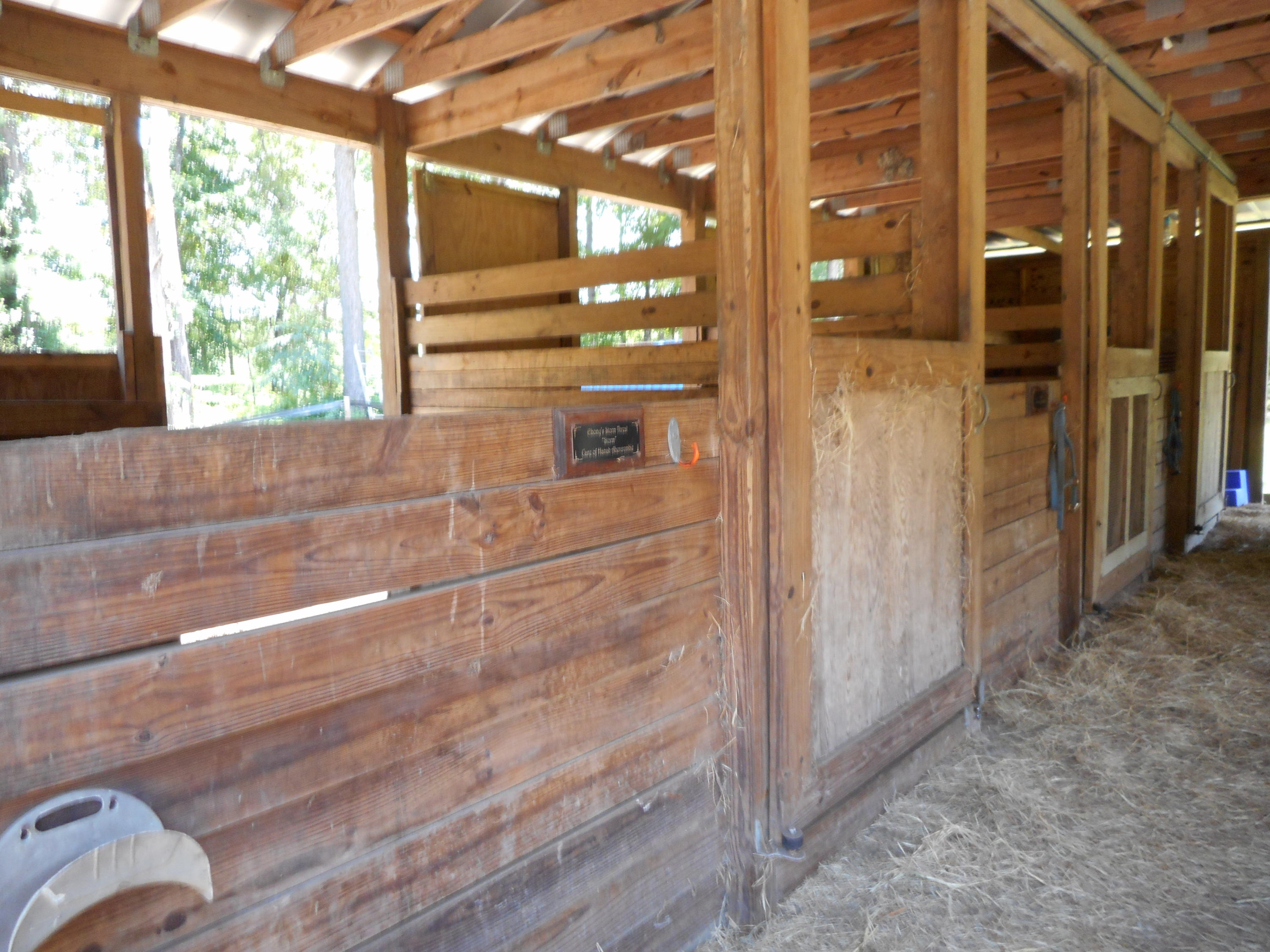6164 County Line Road Ravenel, SC 29470 - Photo 22 of 27 DSCN0141
