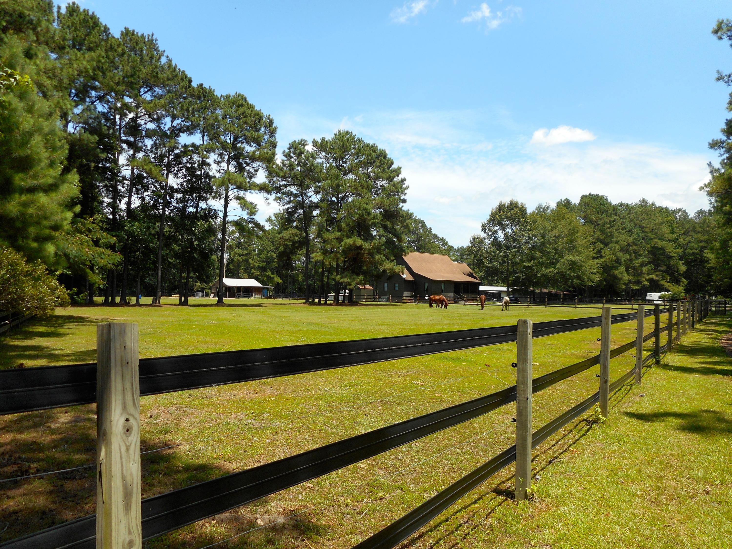 6164 County Line Road Ravenel, SC 29470 - Photo 25 of 27 DSCN0103