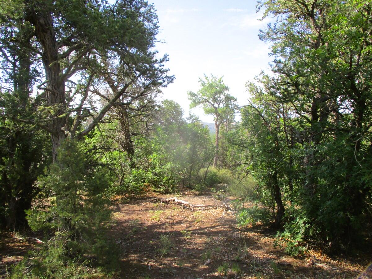 5-6 Black Bear Road Ramah, NM 87321 - Photo 56 of 64 Gallery Image 56