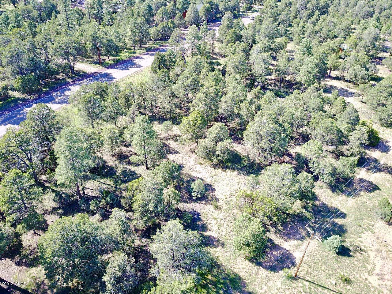 2204 4 Point Circle Overgaard, AZ 85933 - Photo 1 of 13