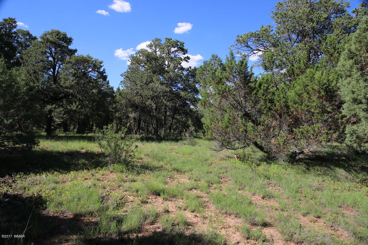 2204 4 Point Circle Overgaard, AZ 85933 - Photo 11 of 13