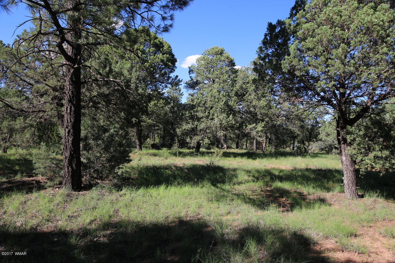 2204 4 Point Circle Overgaard, AZ 85933 - Photo 12 of 13