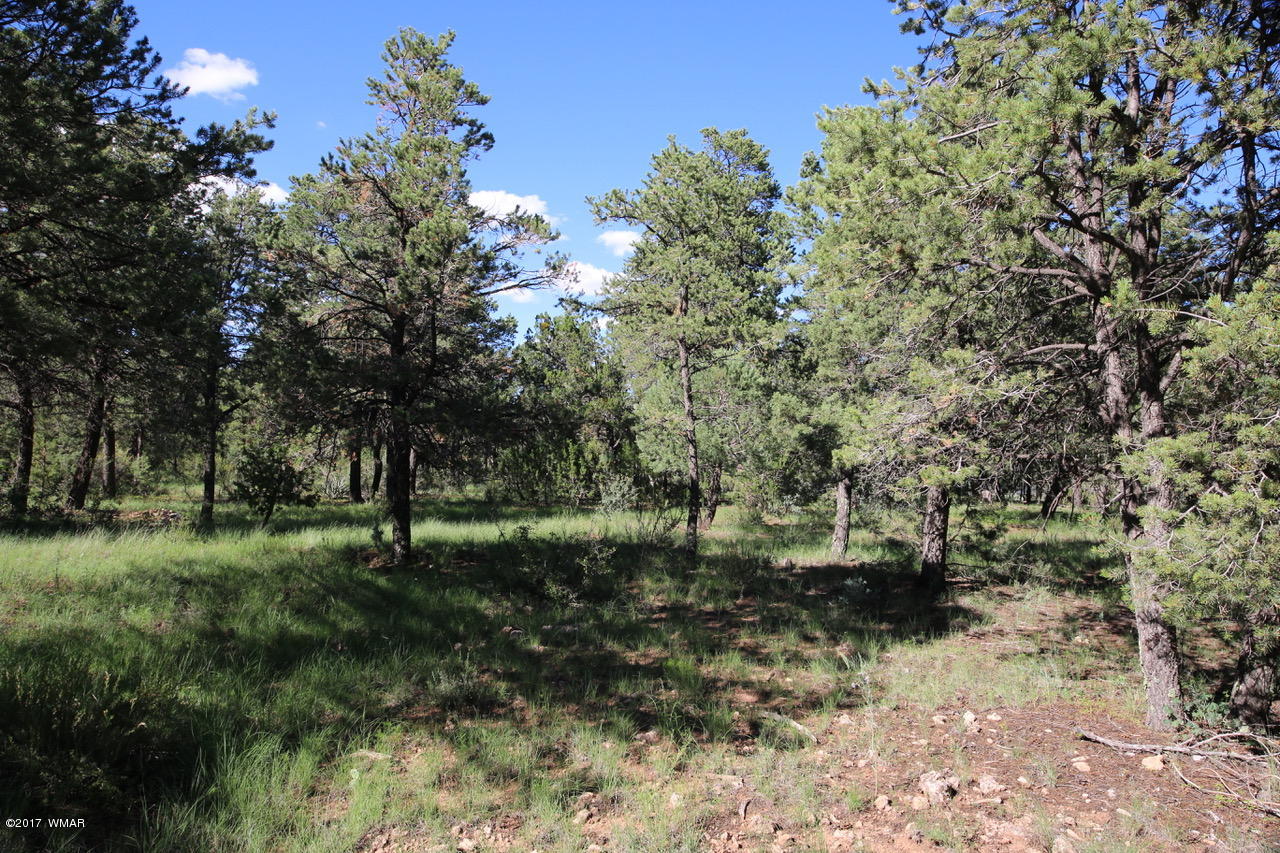 2204 4 Point Circle Overgaard, AZ 85933 - Photo 13 of 13