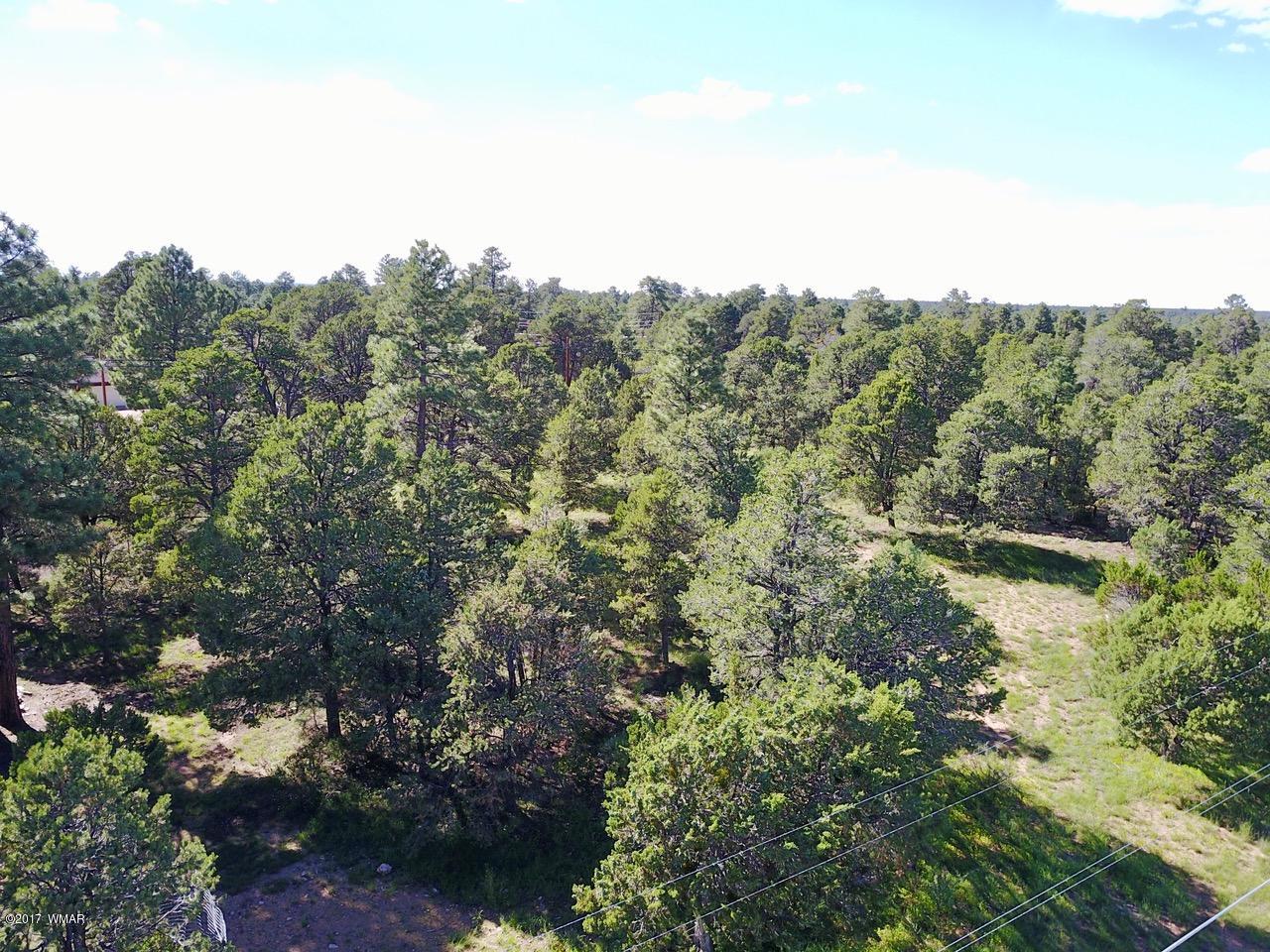 2204 4 Point Circle Overgaard, AZ 85933 - Photo 2 of 13