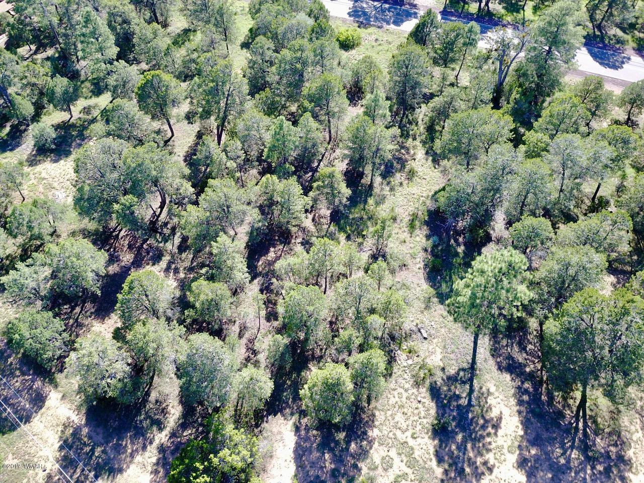 2204 4 Point Circle Overgaard, AZ 85933 - Photo 3 of 13