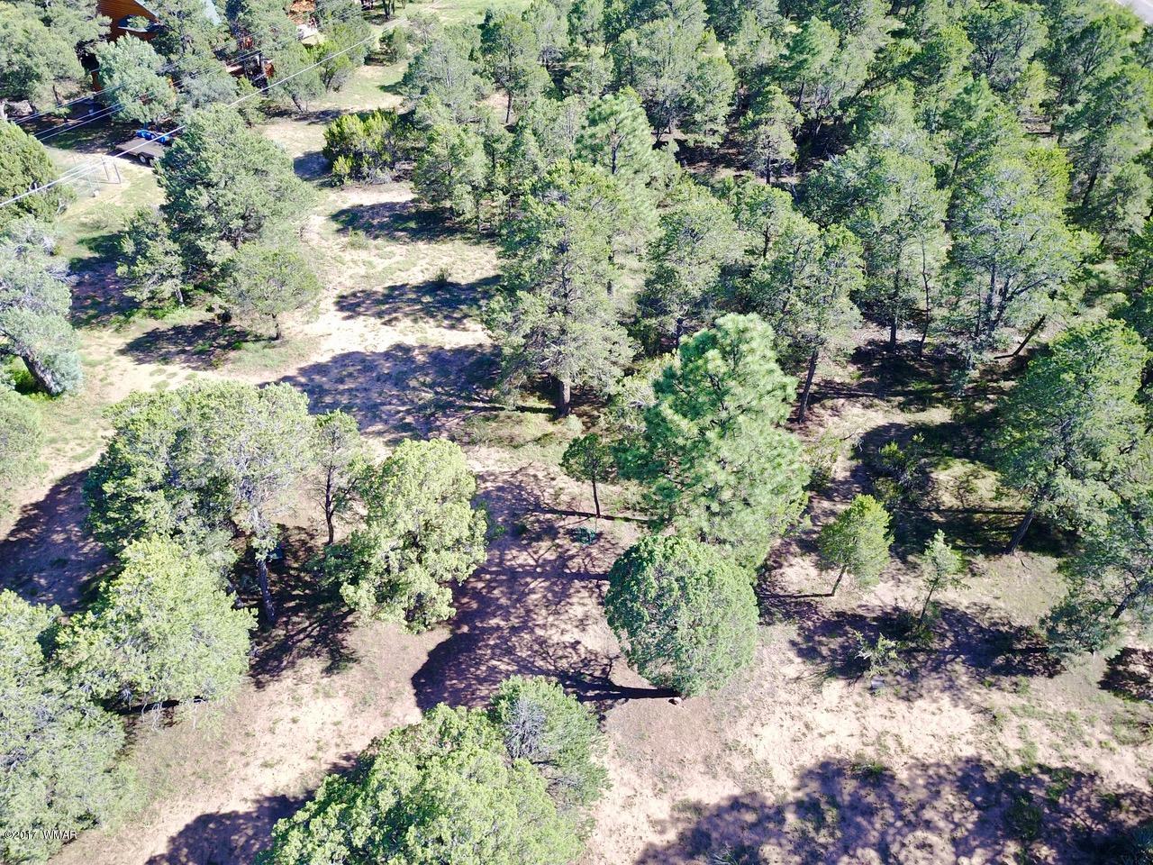 2204 4 Point Circle Overgaard, AZ 85933 - Photo 5 of 13