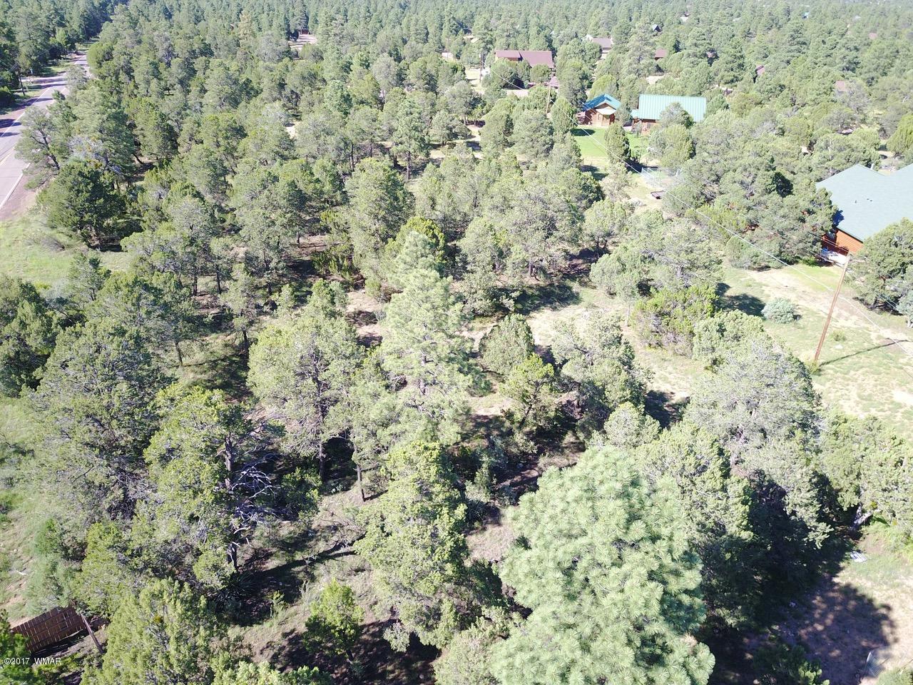2204 4 Point Circle Overgaard, AZ 85933 - Photo 7 of 13