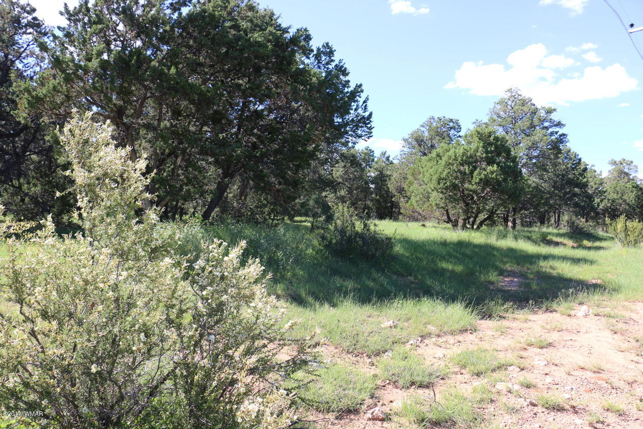 2204 4 Point Circle Overgaard, AZ 85933 - Photo 8 of 13