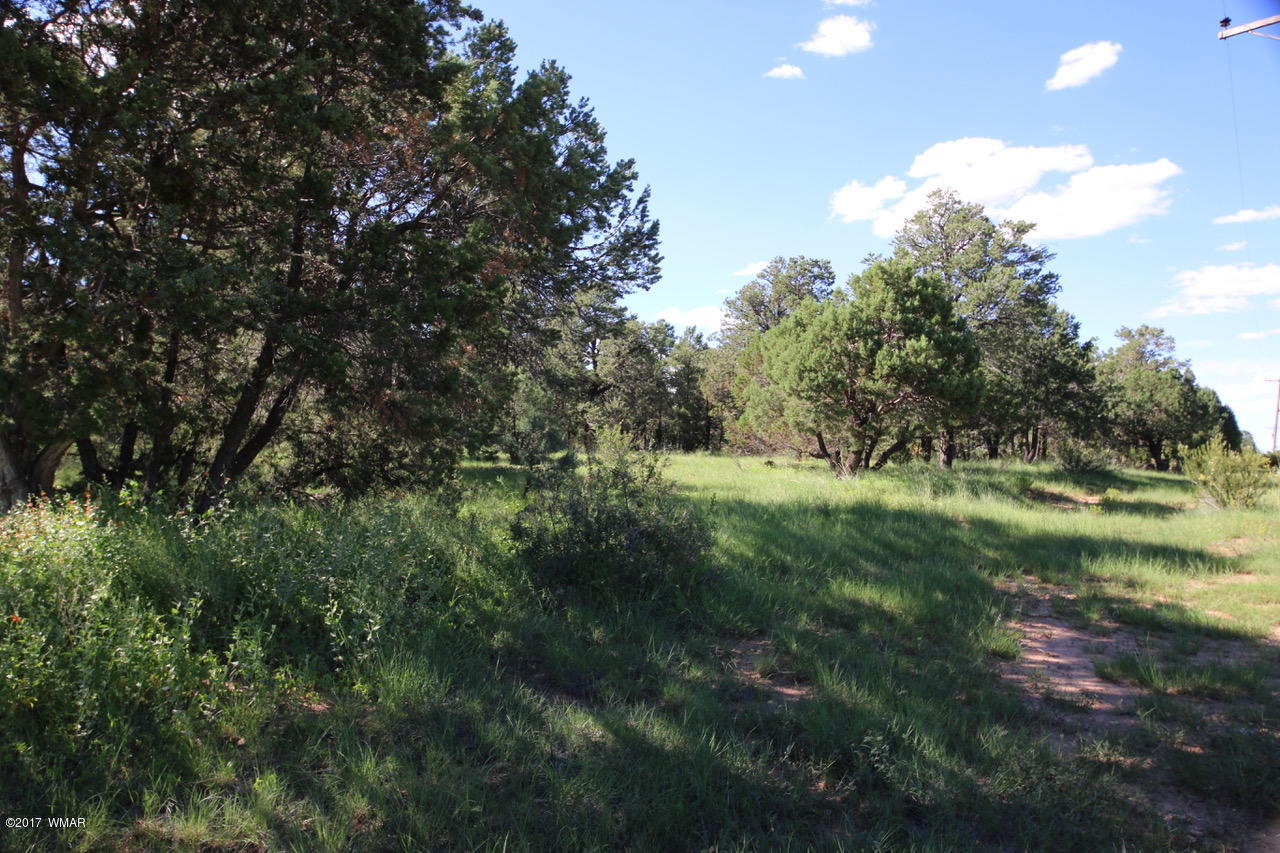 2204 4 Point Circle Overgaard, AZ 85933 - Photo 10 of 13