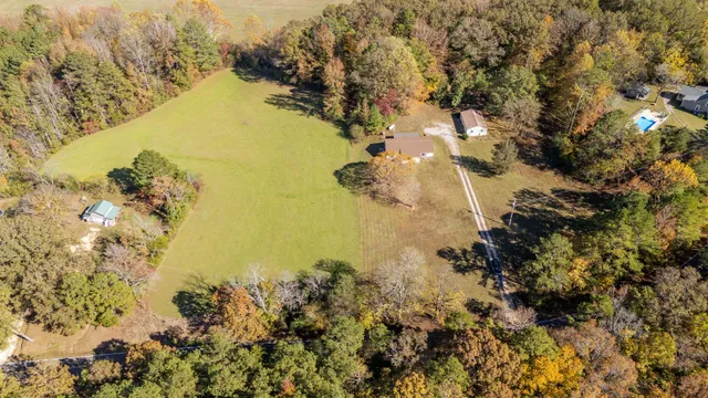 a view of ocean with a large tree