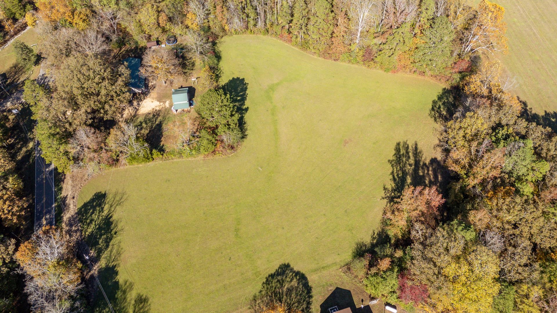 4485 Holland Creek Road Savannah, TN 38372 - Photo 7 of 39 a view of ocean with a large tree
