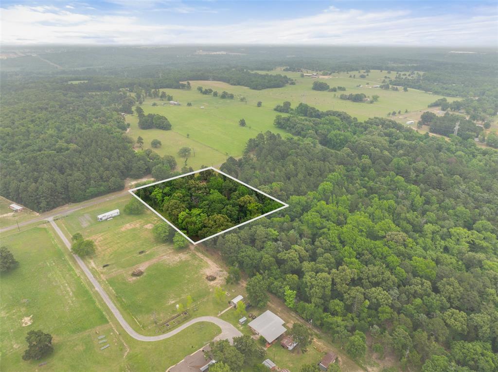 7398 County Road 334 Tyler, TX 75708 - Photo 12 of 39