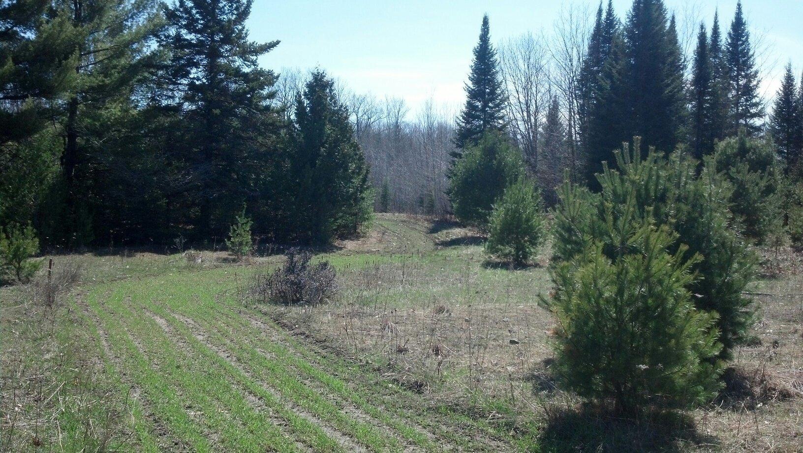 8031 Ellsworth Road Alpena, MI 49707 - Photo 31 of 36 Gallery Image 31