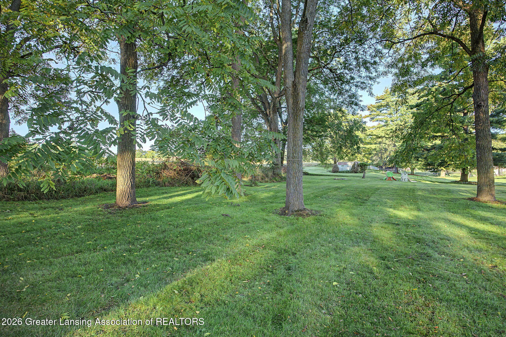 9731 Riverside Drive Grand Ledge, MI 48837 - Photo 21 of 29 Backyard