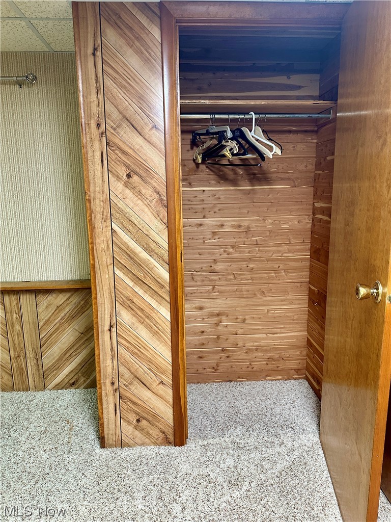 860 McAllister Road Akron, OH 44312 - Photo 20 of 28 cedar closet