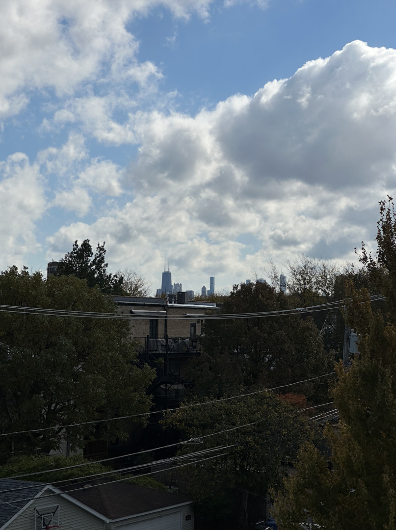 4243 North Damen Avenue, Unit 1F Chicago, IL 60618 - Photo 40 of 42 a view of a terrace