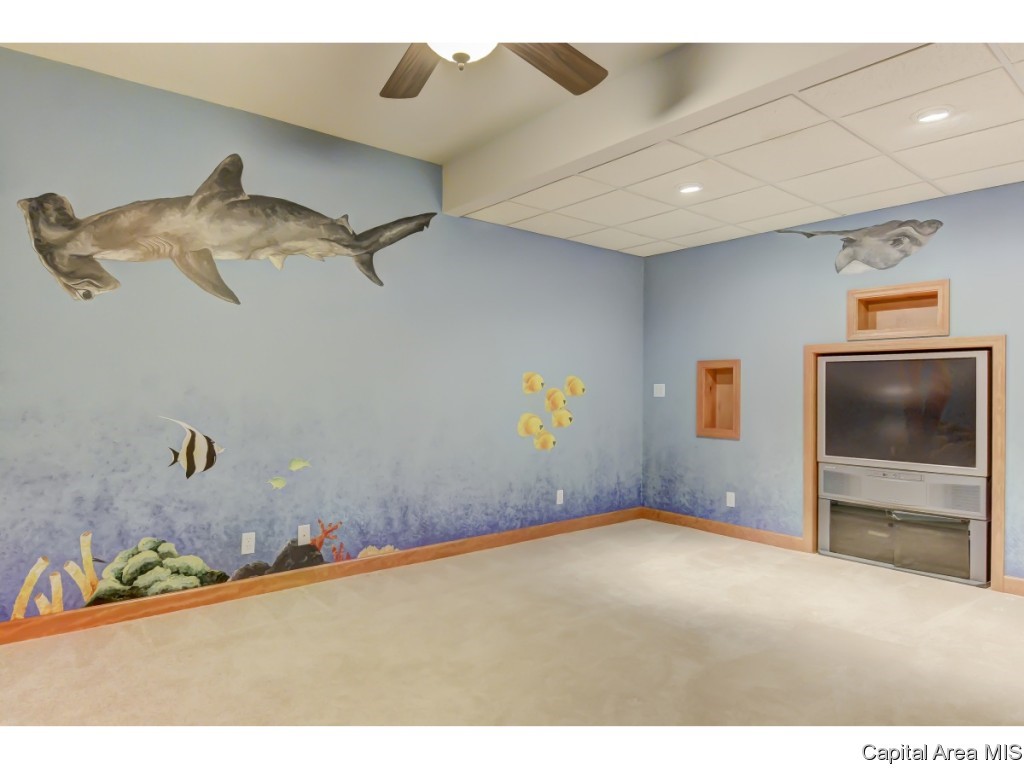 11503 Post Street Athens, IL 62613 - Photo 21 of 34 Gallery Image 21