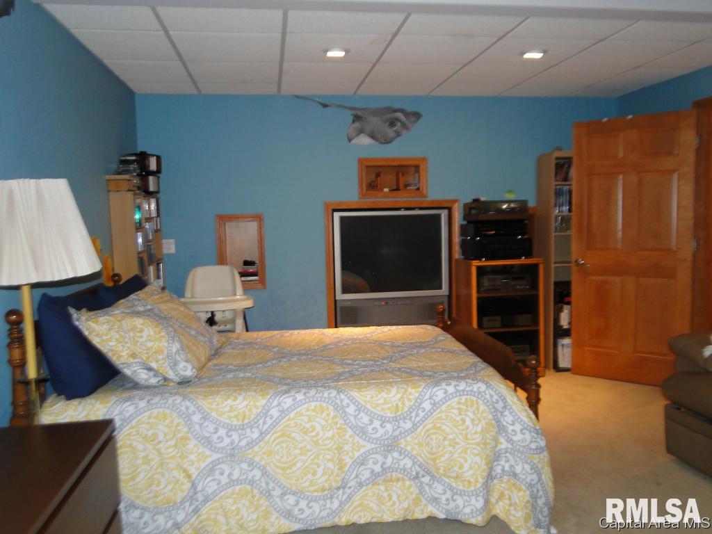 11503 Post Street Athens, IL 62613 - Photo 22 of 34 Gallery Image 22