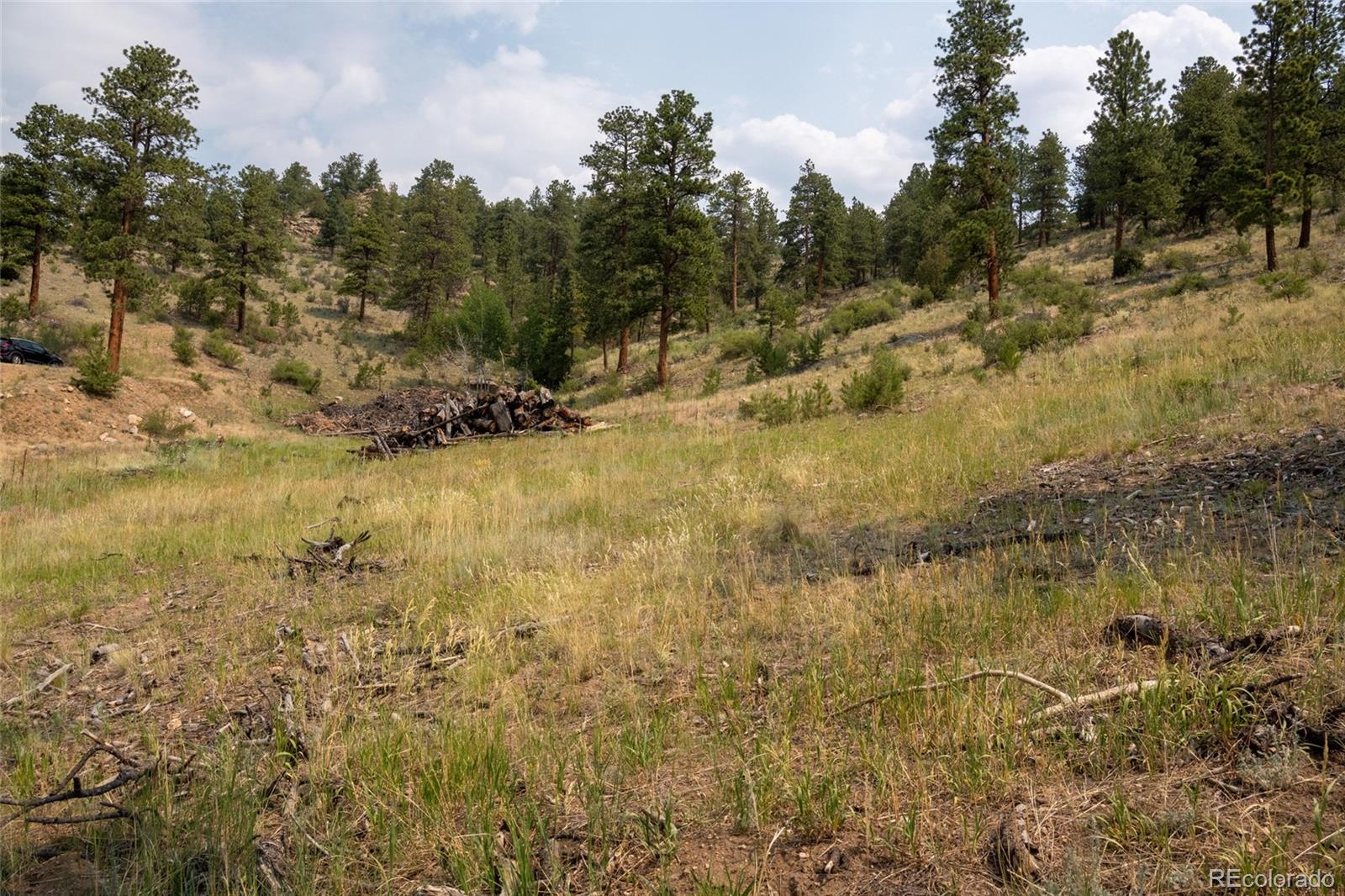 13990 Pine Valley Road Pine, CO 80470 - Photo 3 of 21