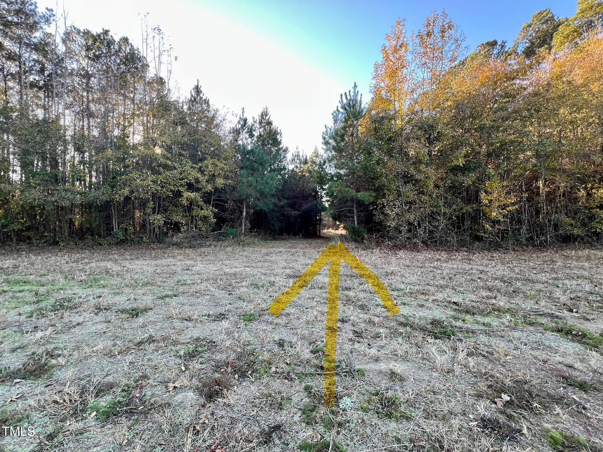 574 Gardner Road Four Oaks, NC 27524 - Photo 15 of 15 Cleared path to the pond.