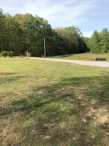 378 Deer Run Loop Altamont, TN 37301 - Photo 4 of 37 Gallery Image 4