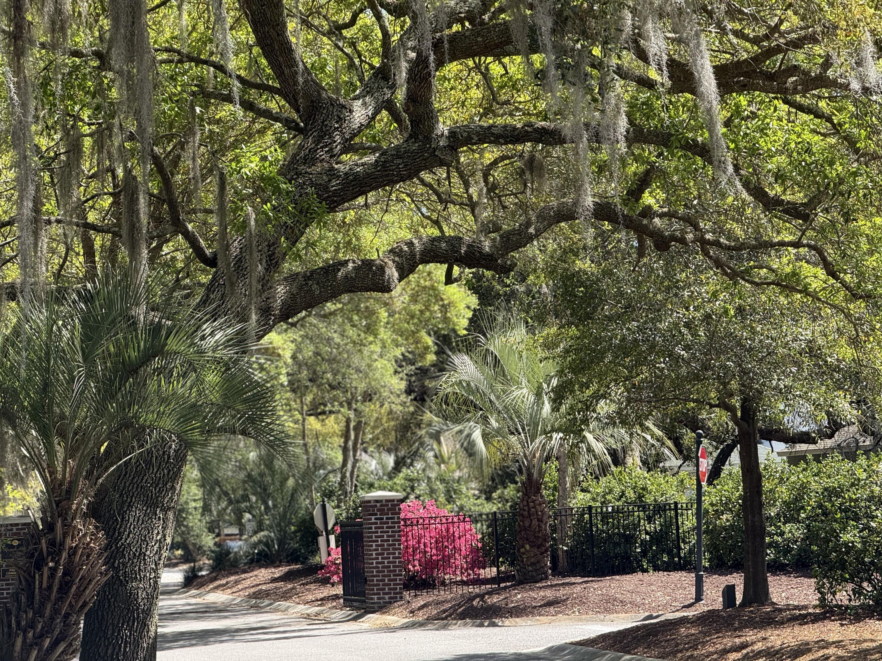 7136 Indigo Palms Way Johns Island, SC 29455 - Photo 42 of 42 IMG_1832