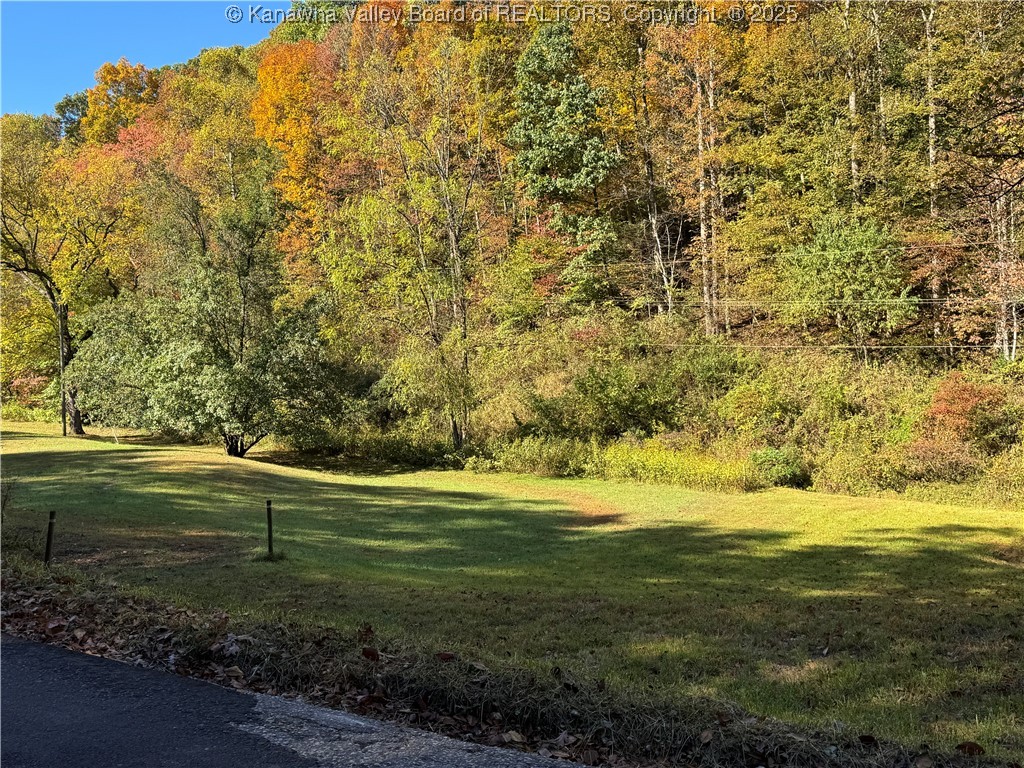 98 Coco Road Elkview, WV 25071 - Photo 30 of 35 Gallery Image 30