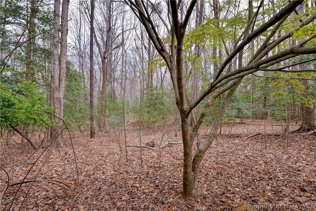 106 Tom Taylor Road Toano, VA 23168 - Photo 47 of 49 Gallery Image 47