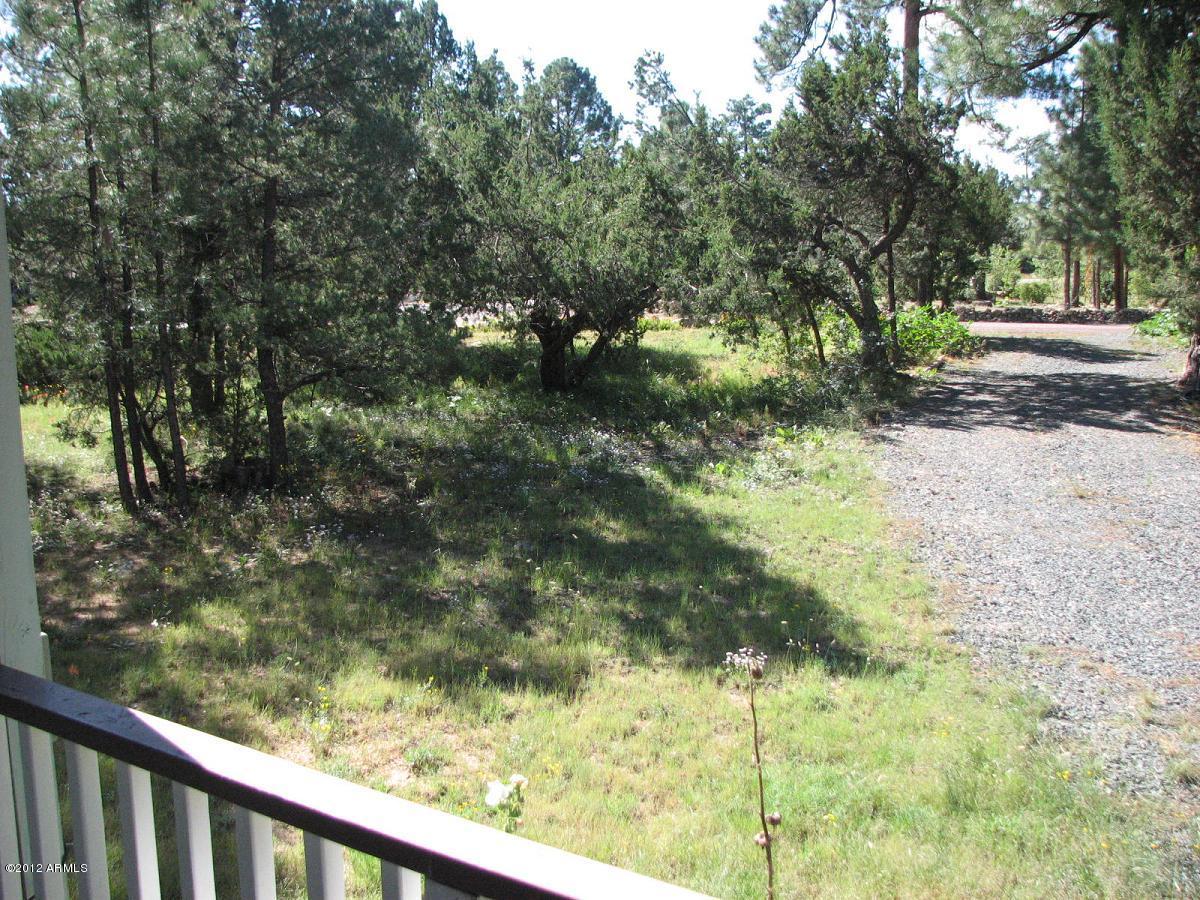 3300 Pine Rim Road Overgaard, AZ 85933 - Photo 18 of 19 back side yard 010