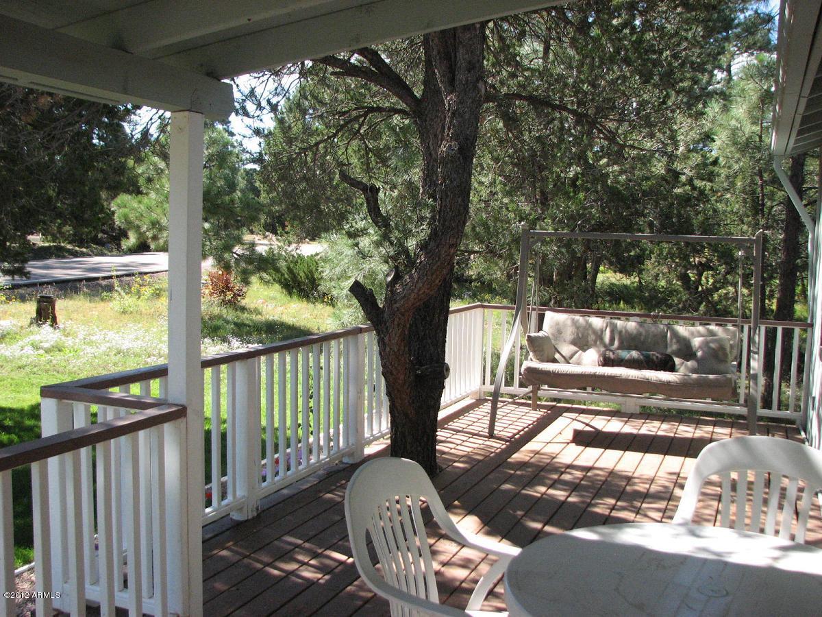 3300 Pine Rim Road Overgaard, AZ 85933 - Photo 2 of 19 porch 026