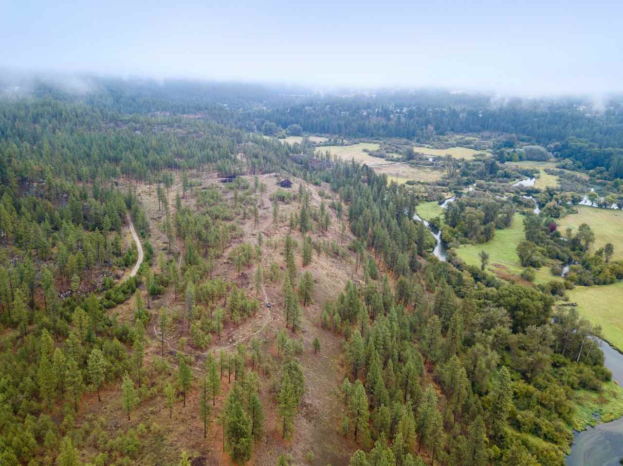 1001 West Hazard Road Spokane, WA 99208 - Photo 6 of 15