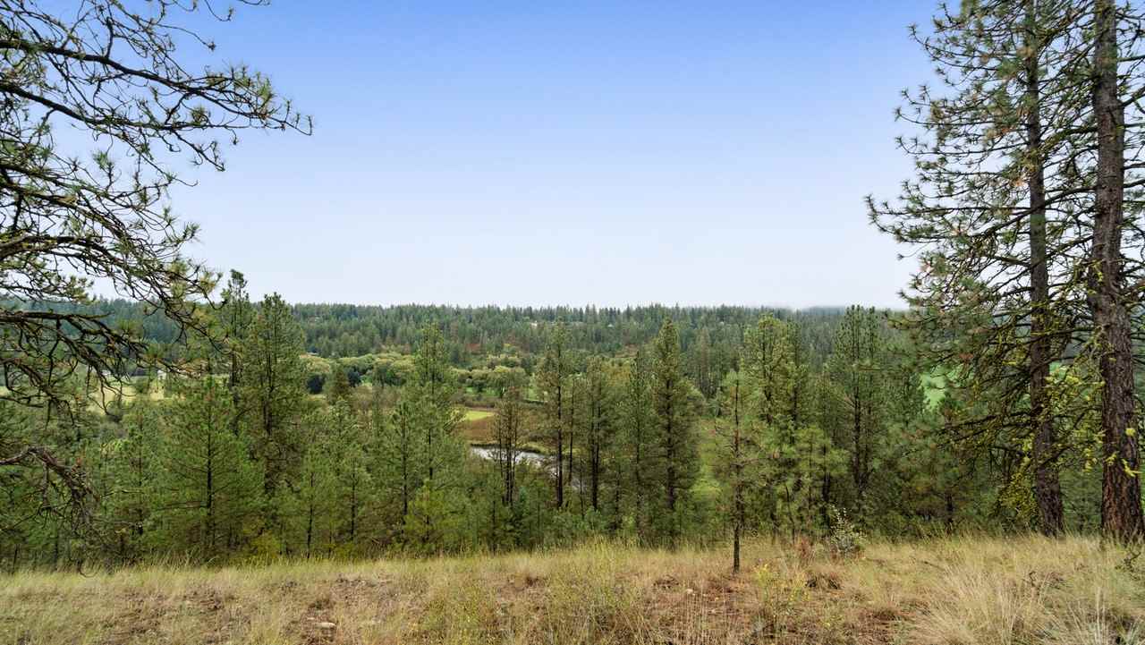 1001 West Hazard Road Spokane, WA 99208 - Photo 10 of 15