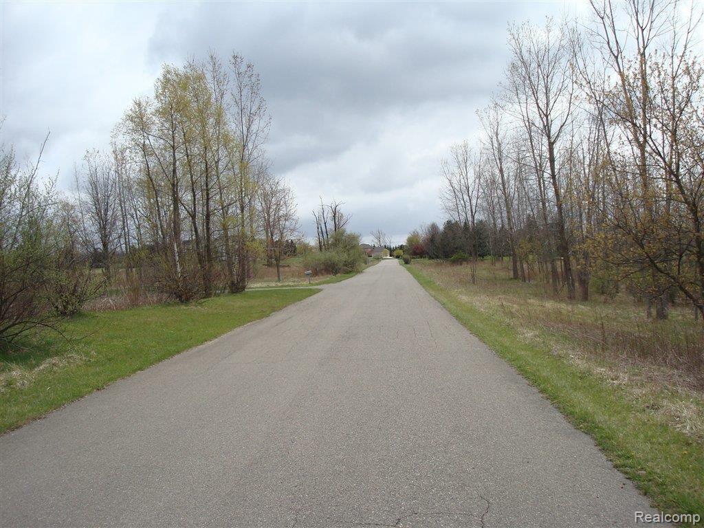 0 Hunters Creek Rochester, MI 48306 - Photo 3 of 7 Paved+Road.JPG