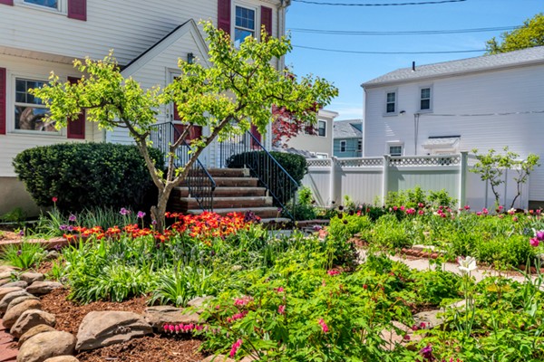 45 Sunset Road Cambridge, MA 02138 - Photo 3 of 25