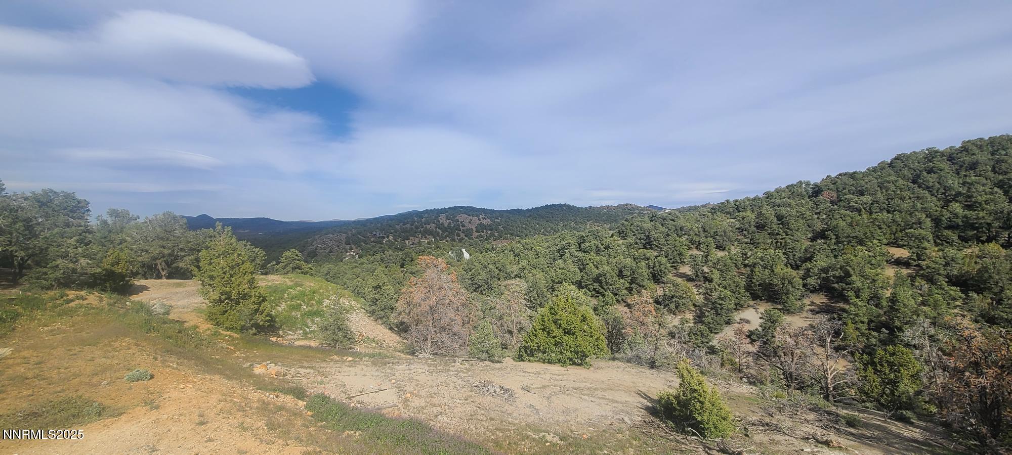 21685 Palamino Road Reno, NV 89521 - Photo 3 of 13 20220418_161226