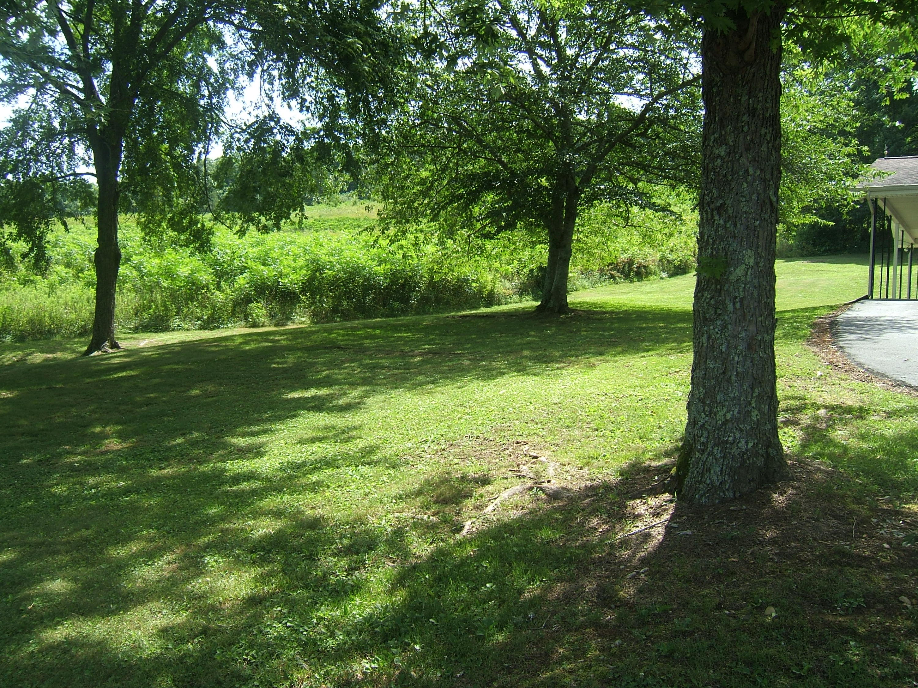 183 May Road Dunlap, TN 37327 - Photo 11 of 31 DSCF9375