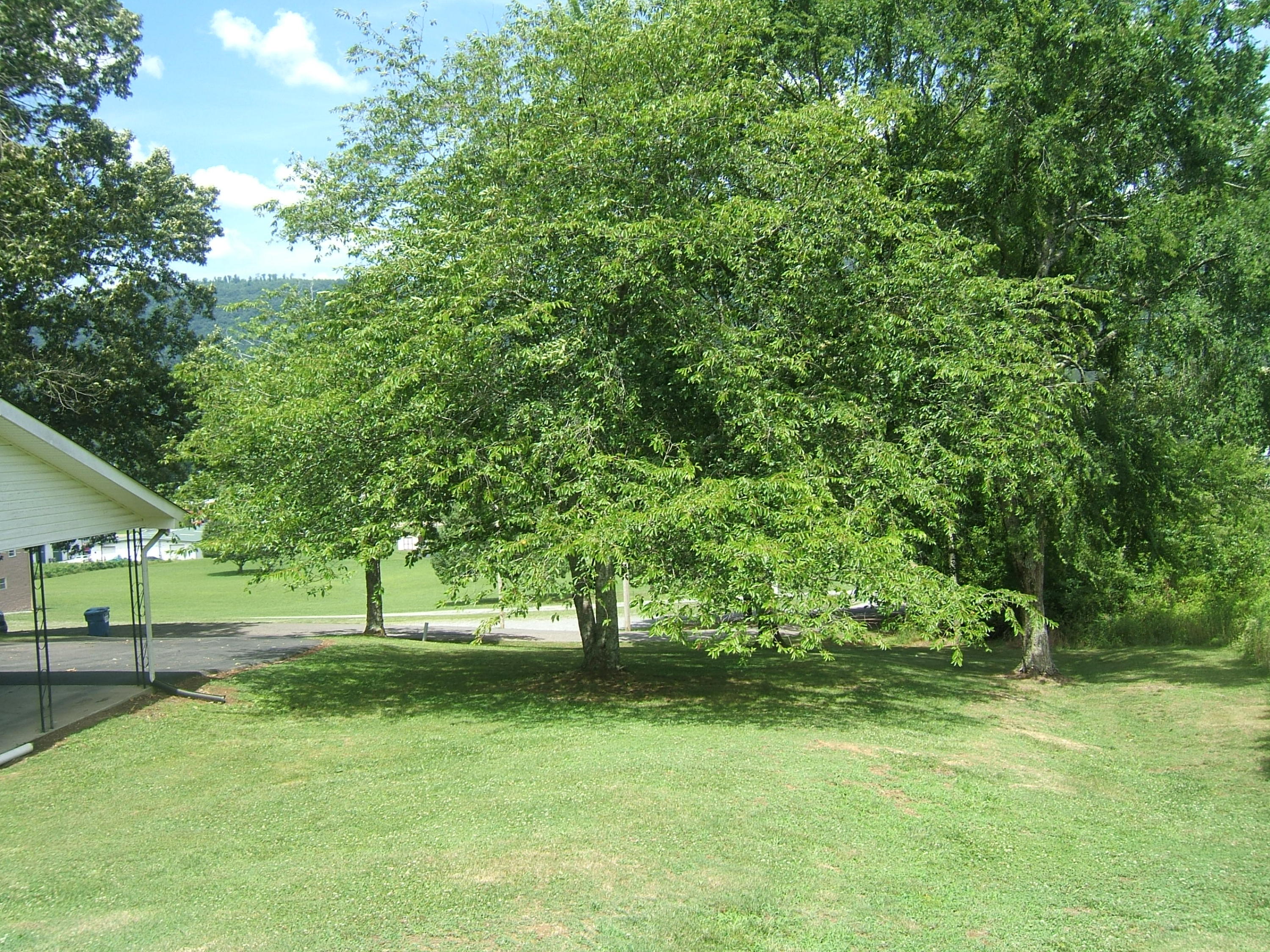183 May Road Dunlap, TN 37327 - Photo 28 of 31 DSCF9403