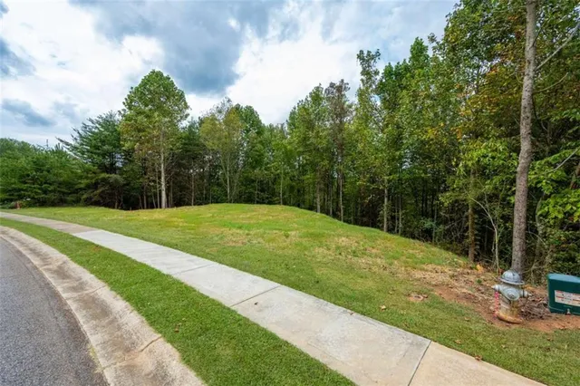 a view of a park with large trees